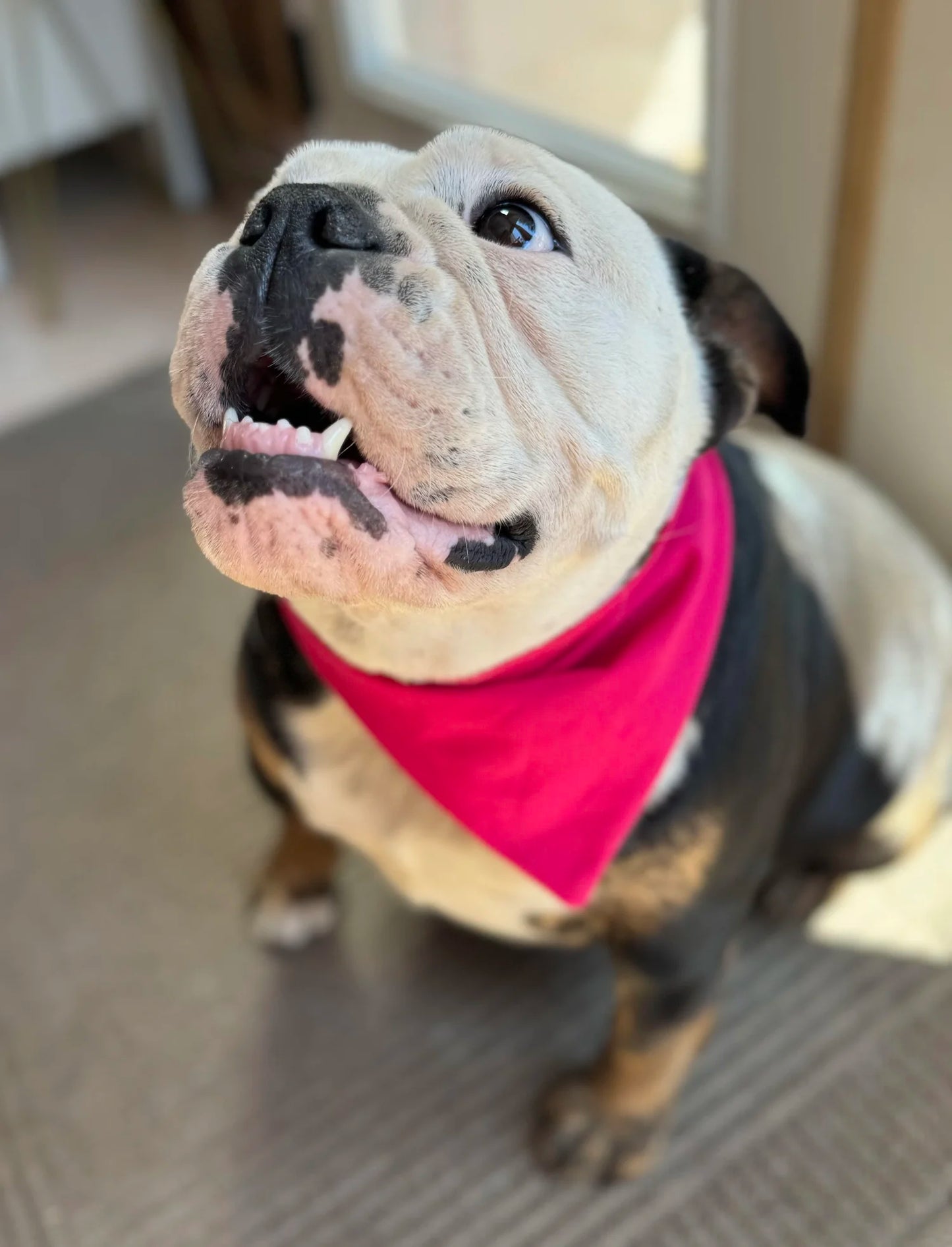 Strawberries and Cream Bandana