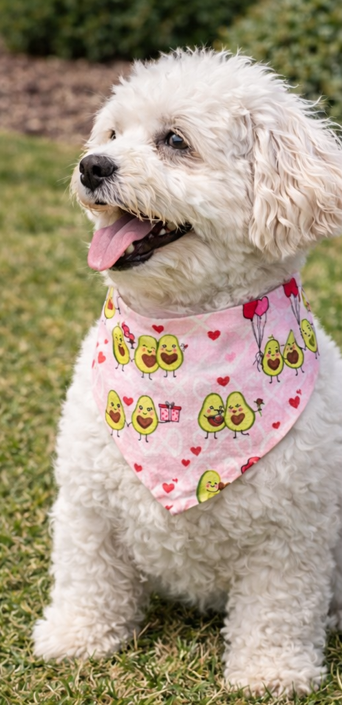 Avocado Love Bandana