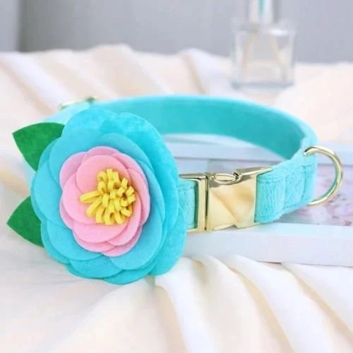 Teal Floral with Leaves Collar