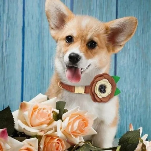 Brown Floral with Leaves Collar