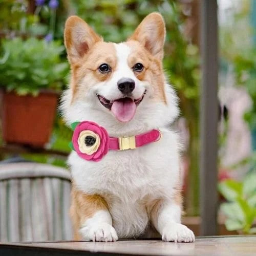 Hot Pink Floral with Leaves Collar