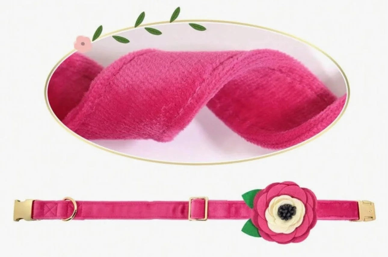 Hot Pink Floral with Leaves Collar