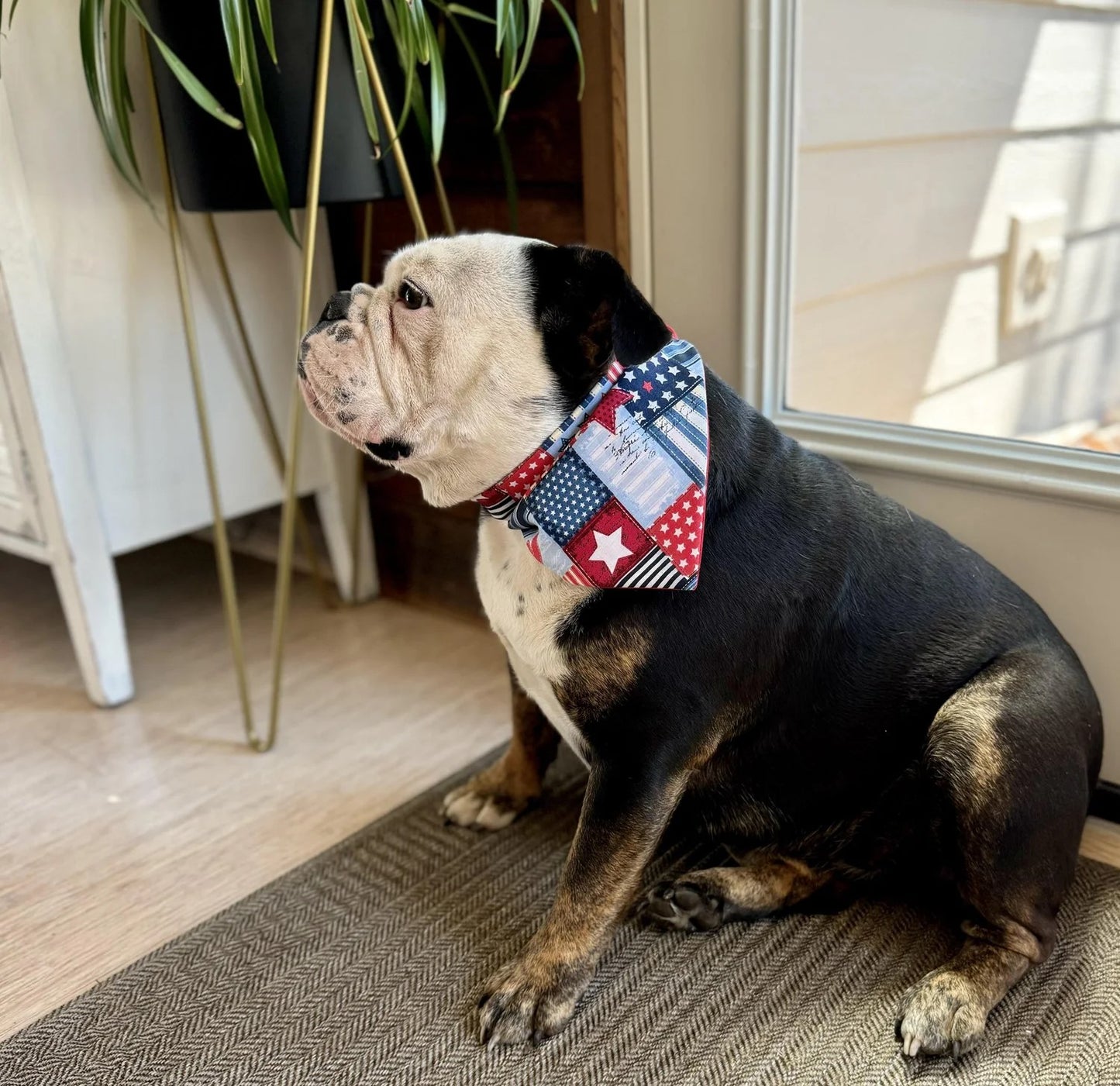 4th of July Bandana
