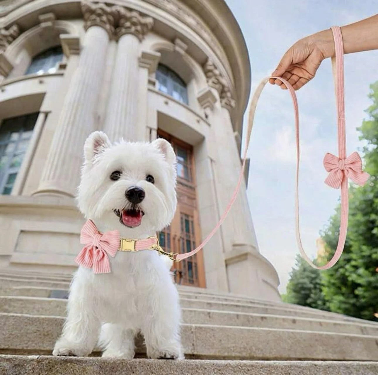 Bubblegum Bliss  Collar and Leash Set