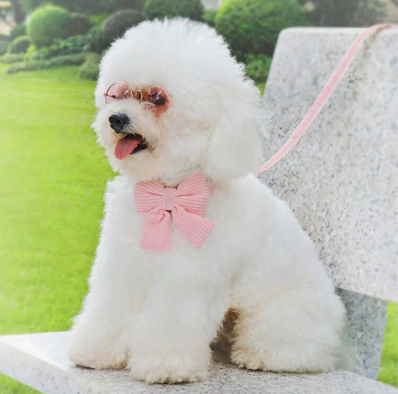 Bubblegum Bliss  Collar and Leash Set