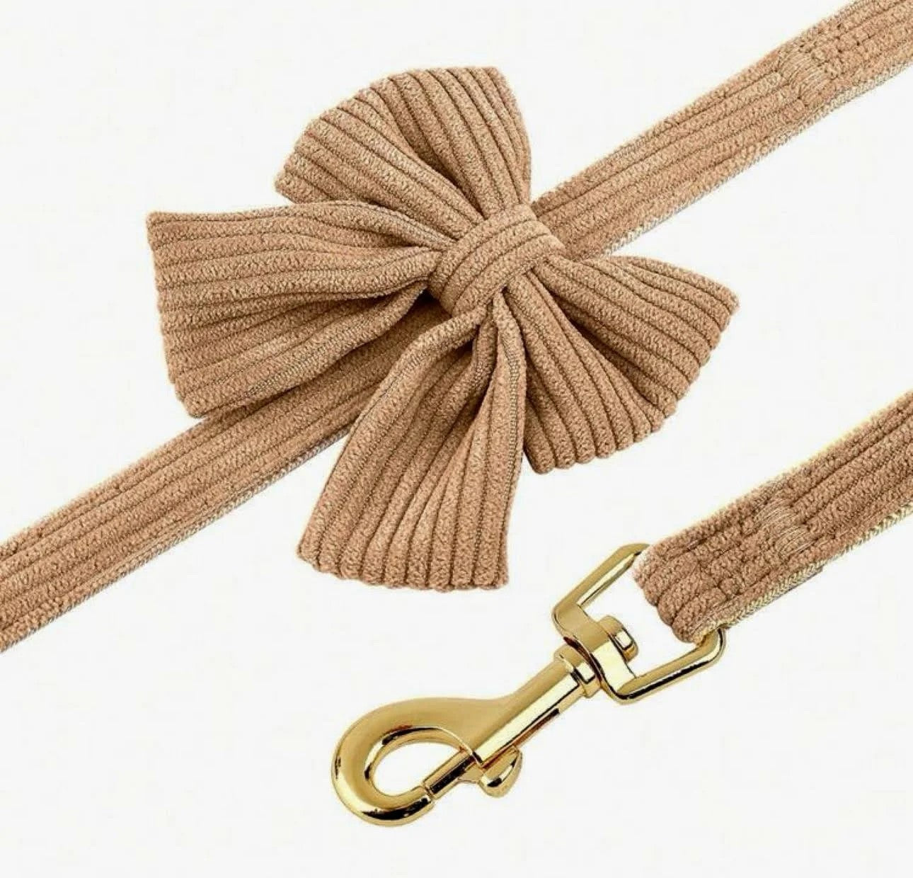 Teddy Collar and Leash Set