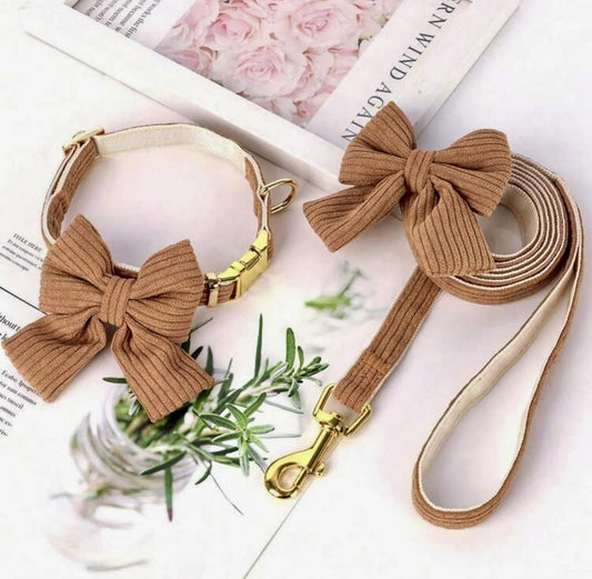 Teddy Collar and Leash Set