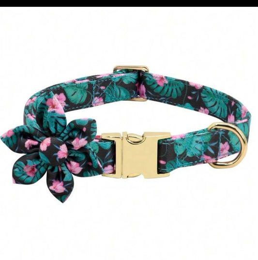 Tropical Collar