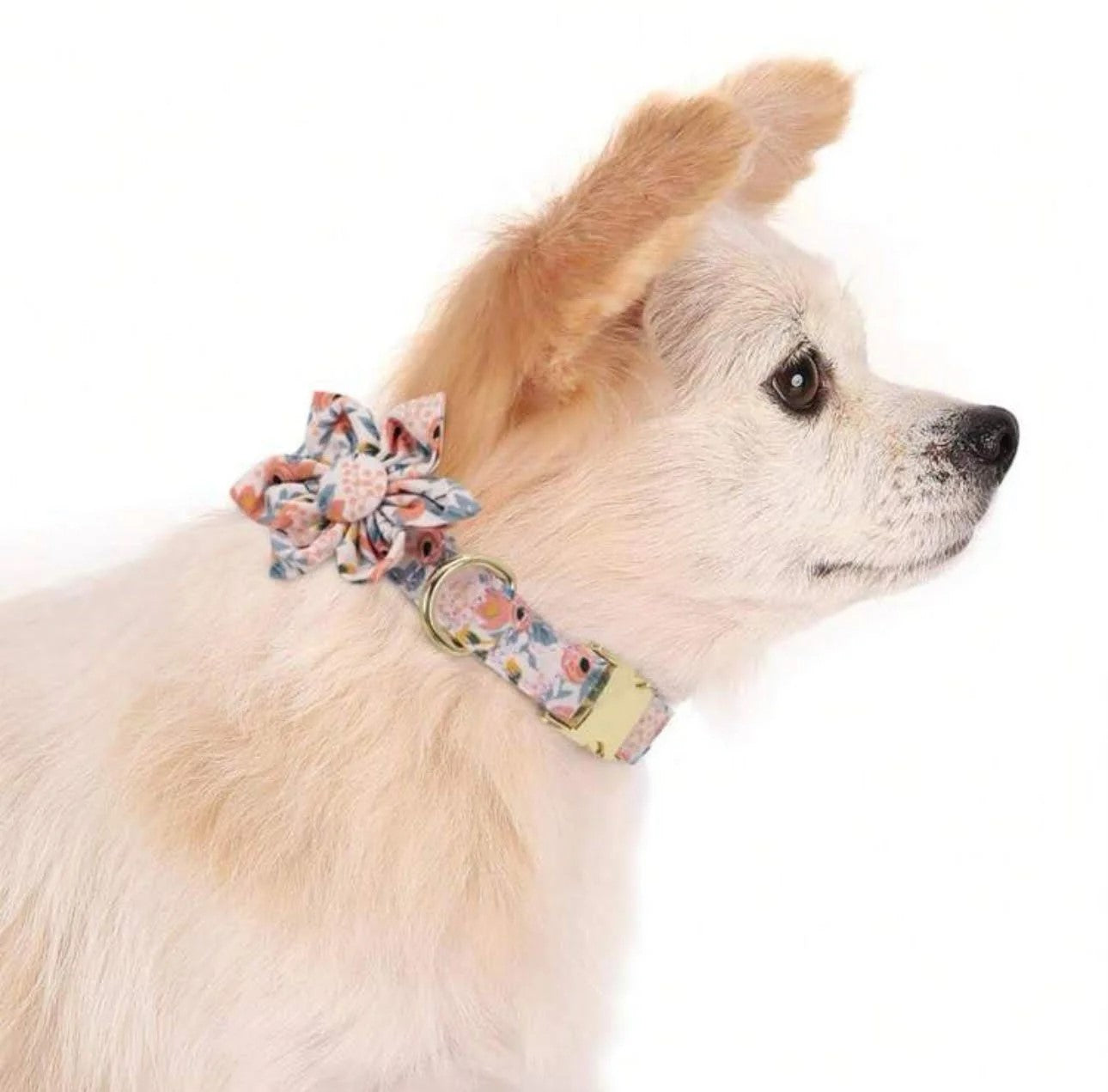 Orange Blossom Collar