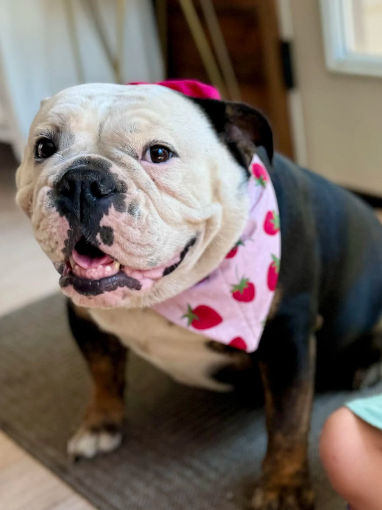 Strawberries and Cream Bandana