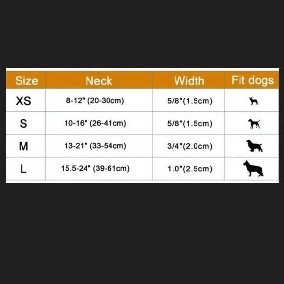 Sweet Sunshine Paw and Me Set