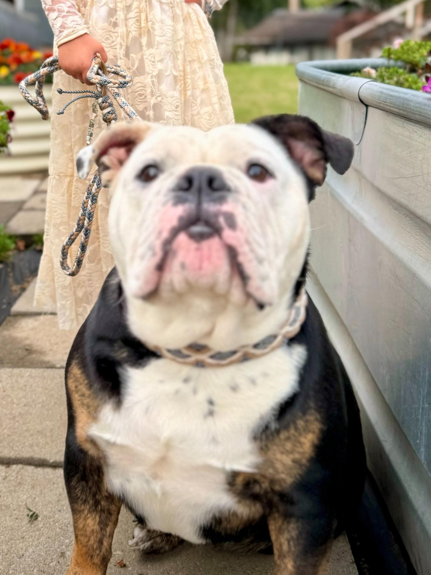 Beautiful Fall Paw and Me Set