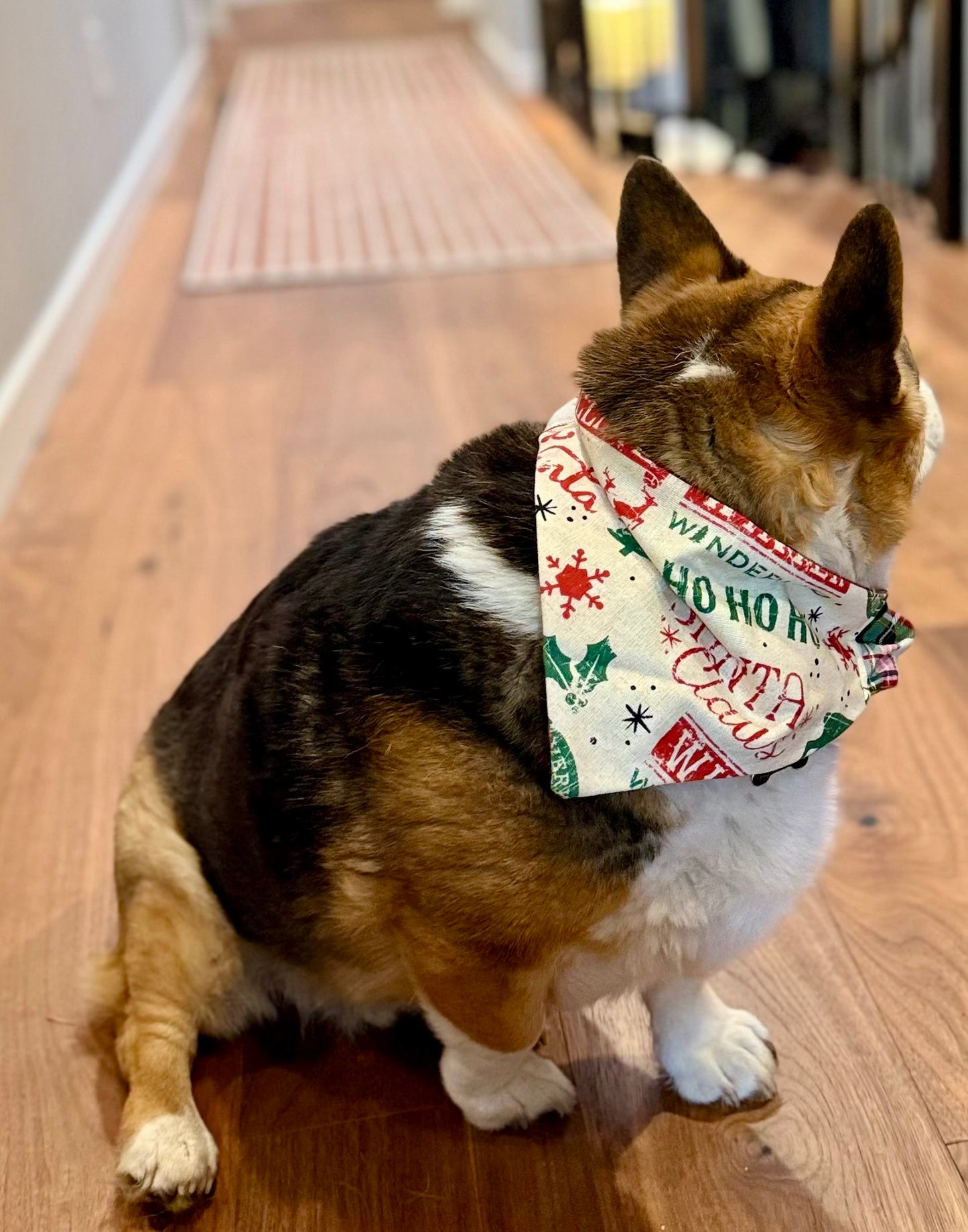 Santa Express Bandana