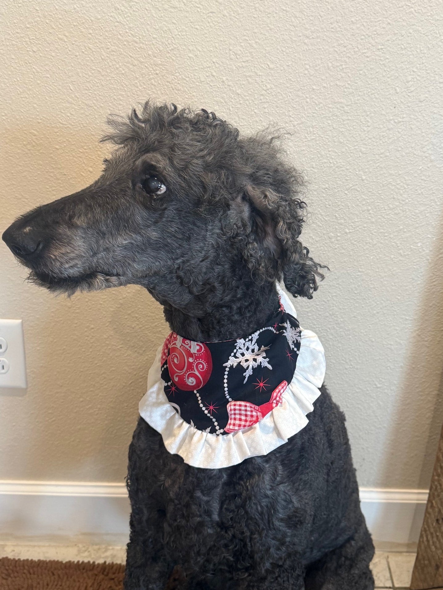 Merry & Bright Ruffle Bandana