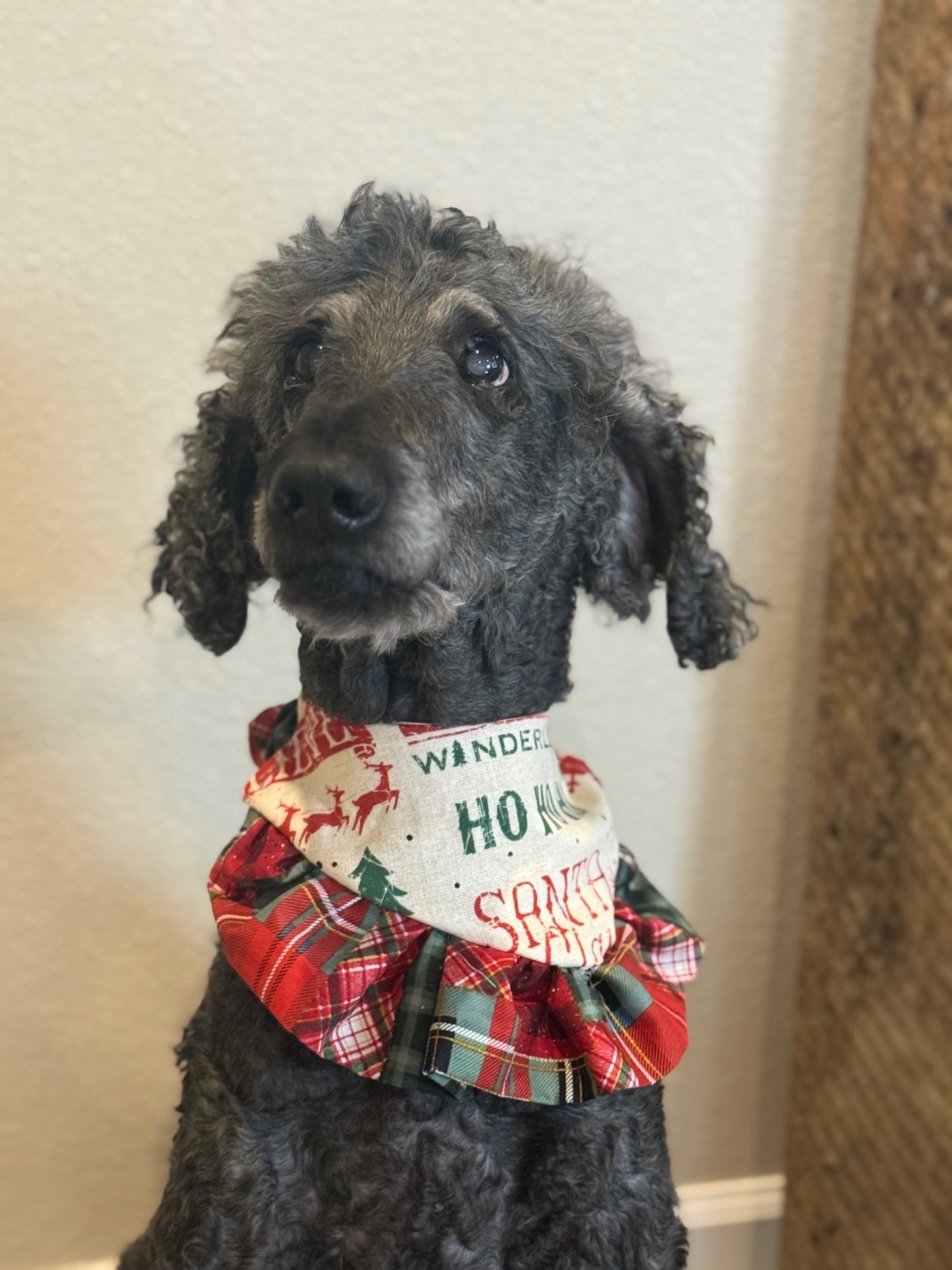 Santa Express Ruffle Bandana