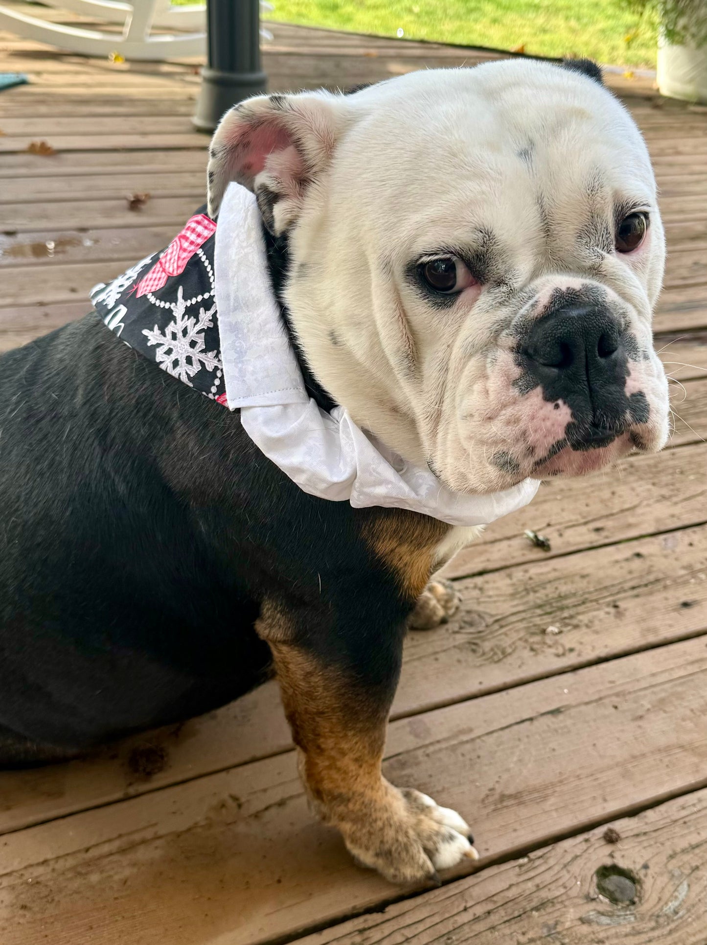 Merry & Bright Bandana