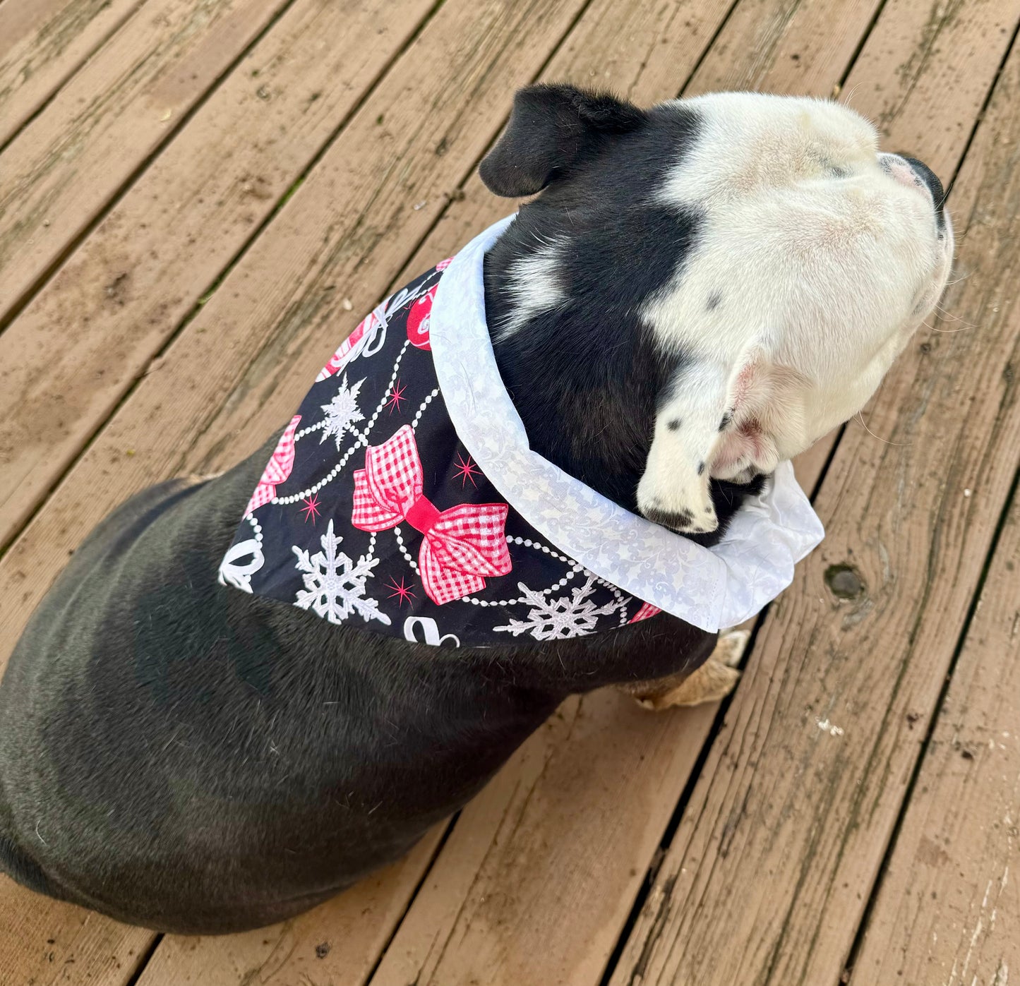 Merry & Bright Bandana