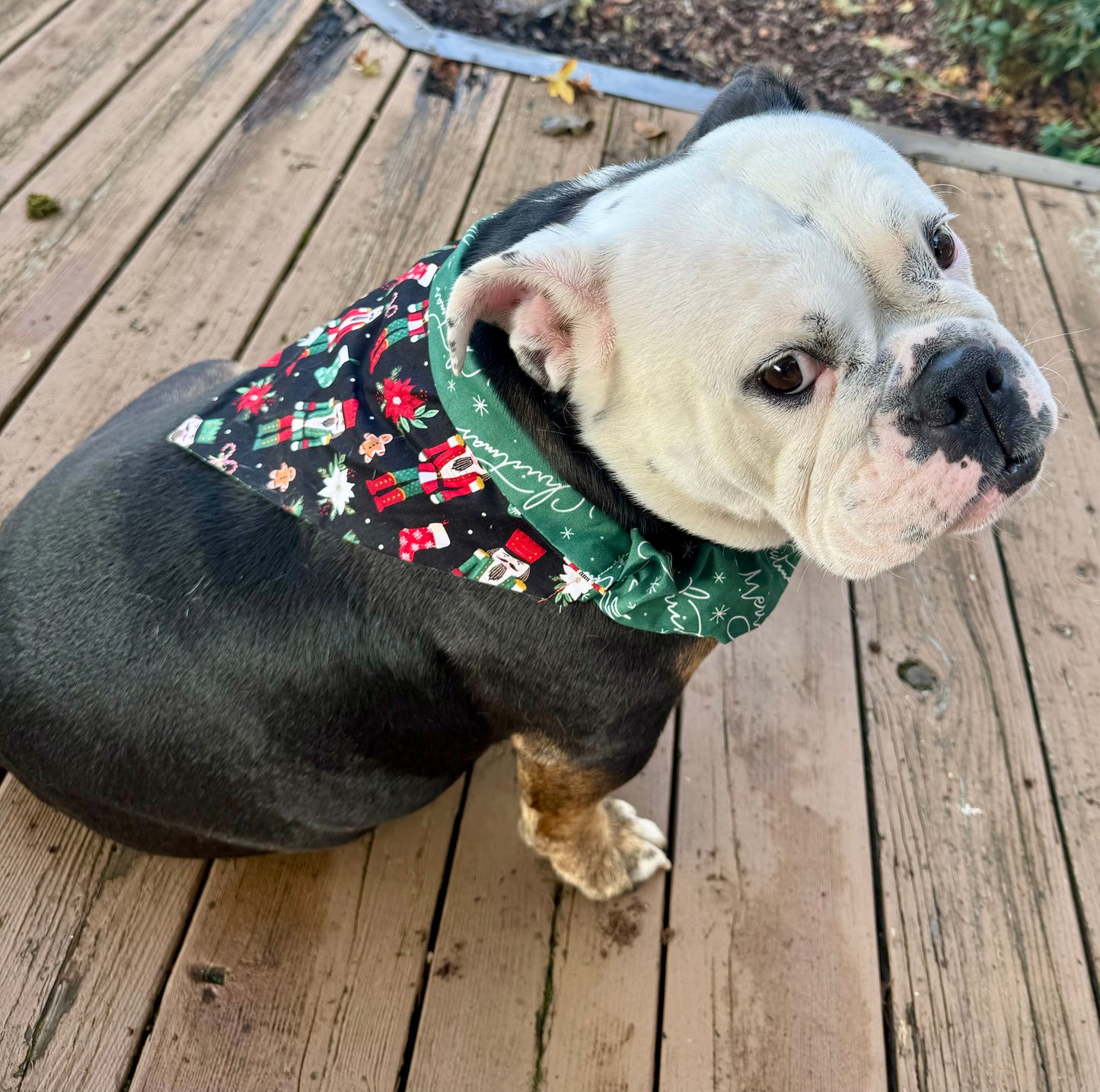 The Nutcracker Bandana