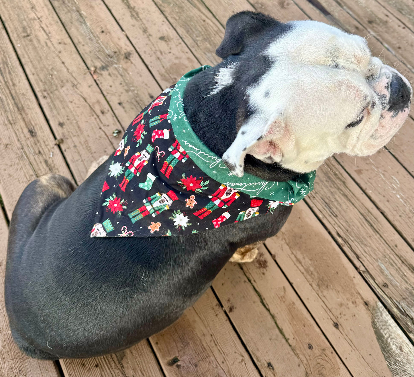 The Nutcracker Bandana