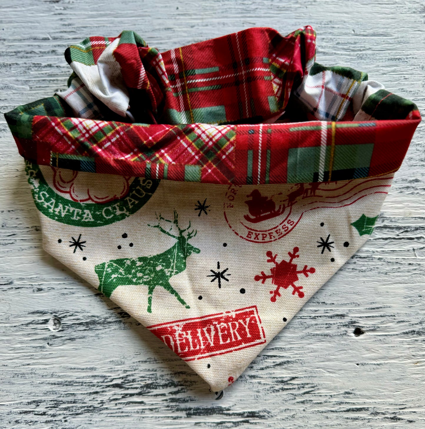 Santa Express Bandana