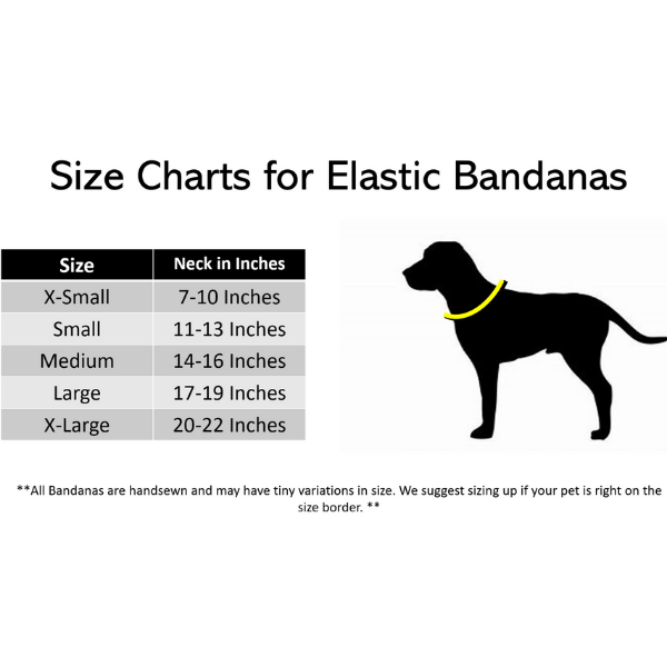 Santa Express Bandana