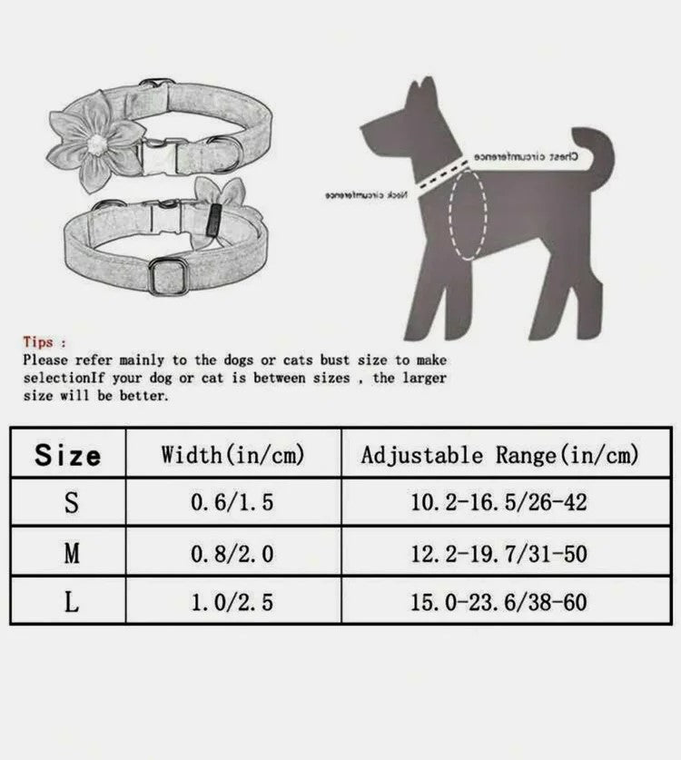 Pink Paradise Collar