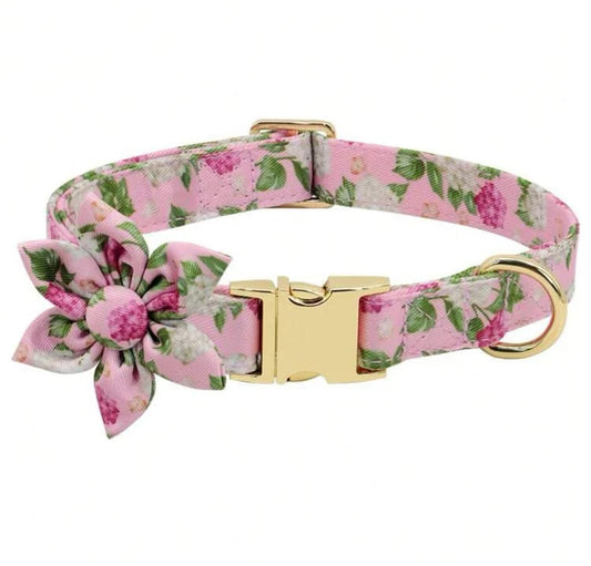 Pink Paradise Collar